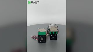 NF30 다이어프램 액체 펌프