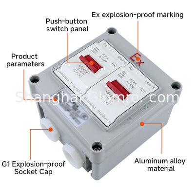 Two switches 20A Explosion-Proof Air Switch AC 220V/380V Zone 1/2 Application