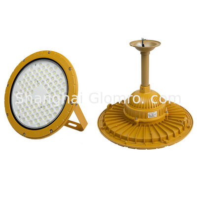 High-quality Explosion-Proof Blast-proof Waterproof 50-300W Round LED Explosion-proof Flood Light IP66 Exde MB IICT6 GB