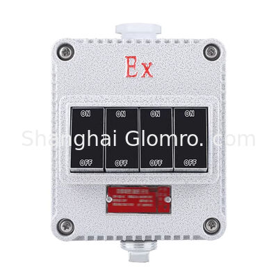 Increased Safety Type Explosion-proof Wall Switch Double Gang IP65 Rated