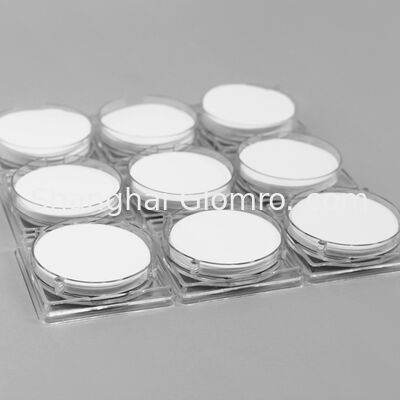 Organic Nylon Membrane Aqueous Mixed Membrane Filter Paper for Laboratory Vacuum Filtration System