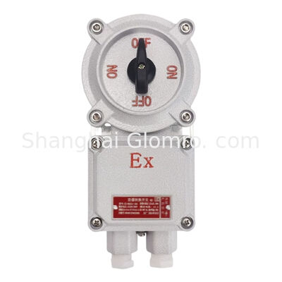Explosion-Proof Transfer Switch 10A IP66 Waterproof Cam Switch for Chemical Oil Gas Hazardous Zone 1 Zone 2