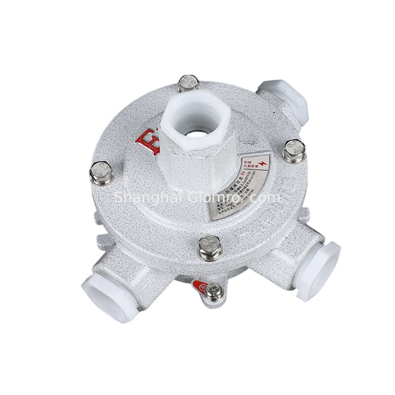 High-Stability AH-IIB Type H Triple Hanger Type Explosion-proof Box, Stainless Steel Fasteners, Exd IIB T6 IP65