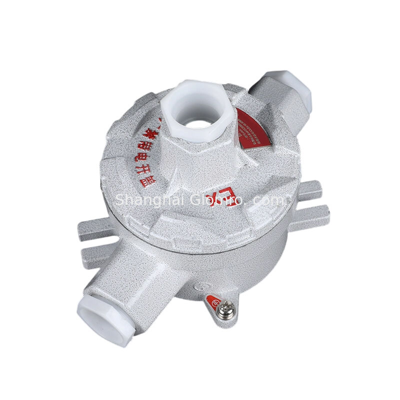 AH-IIC/Type G Double Hanger Type WF1 Anti-corrosion IP65 Dust-proof Explosion-proof Junction Box Made of Aluminum Alloy