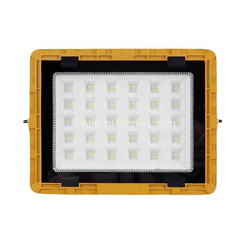 LED Explosion-Proof Flood Light IP66 Waterproof Outdoor Industrial Lighting 50W/70W/100W/150W/200W/250W/300W/400W/500W/600W/800W