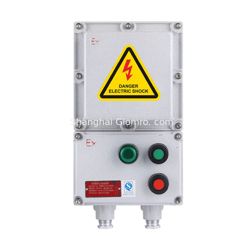 AC 220V/380V Explosion-proof Magnetic Starter Exde IIB T4/T6 Gb Waterproof and Dustproof