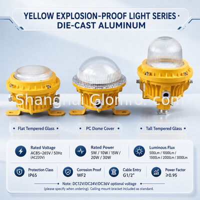GLOMRO 중공업 방폭 LED 구역등 30W SMD 3000Lm AC85V-265V 석유화학 플랜트용